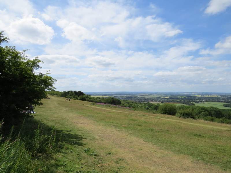 Pete's Walks Watlington Hill and Cookley Green (page 5 of 5)